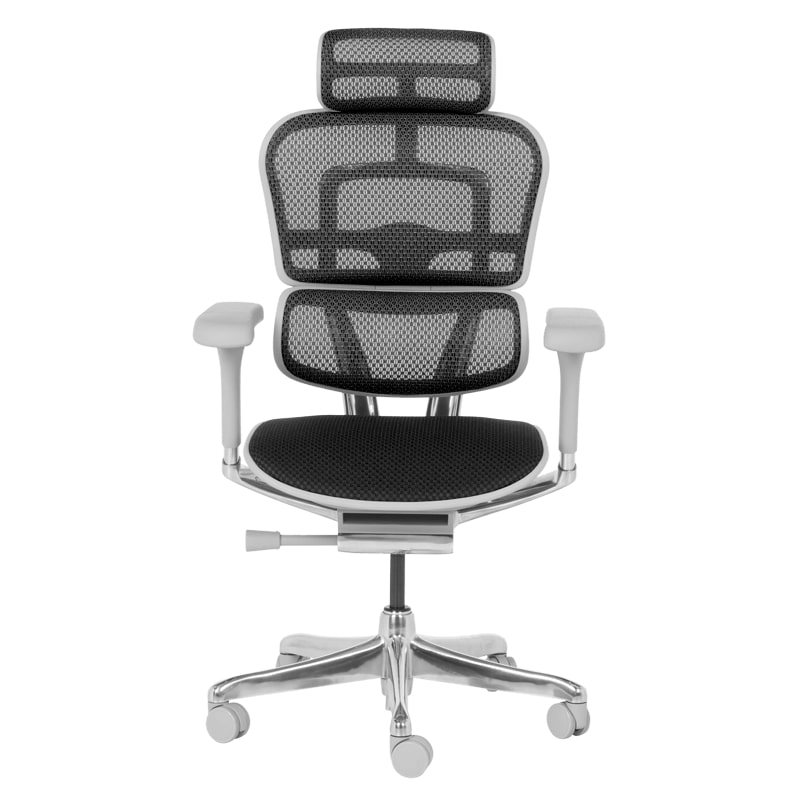 Ергономичен офис стол Ergohuman Elite 2 черен-сива рамка