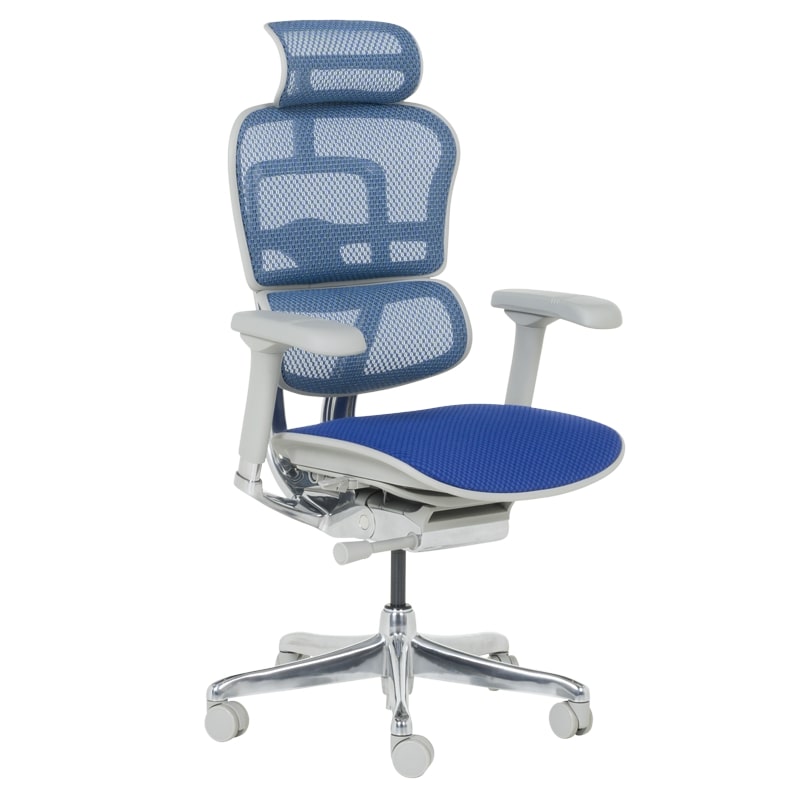 Ергономичен стол - Ergohuman Elite 2 син-сива рамка