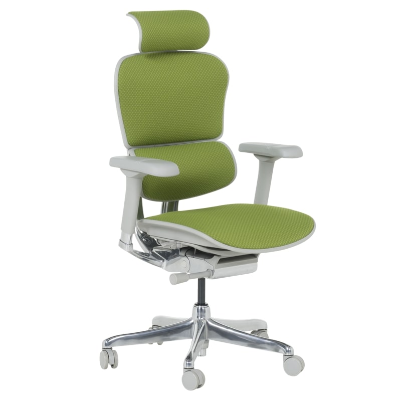 Ергономичен стол - Ergohuman Elite 2 дамаска зелен-сива рамка