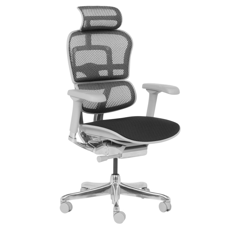 Ергономичен стол - Ergohuman Elite 2 черен-сива рамка