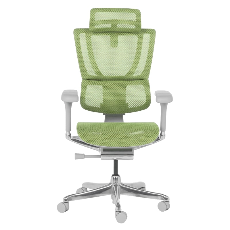 Ергономичен стол IOO Elite 2 сива рамка-зелен